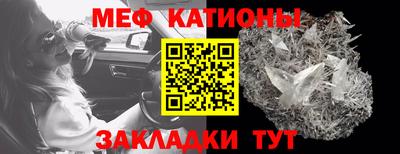 прущие грибы Дубна