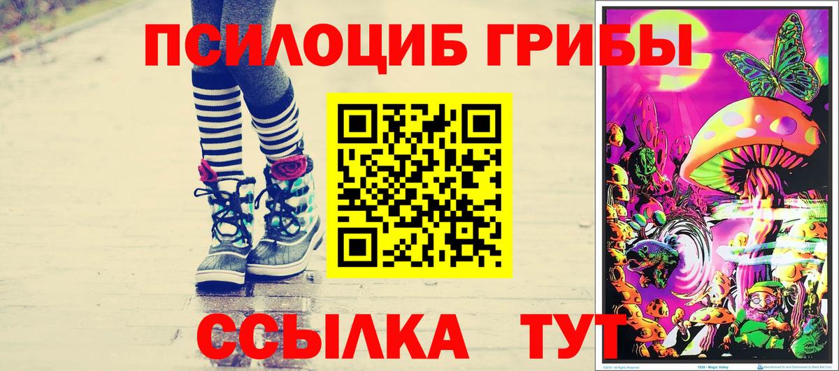 Псилоцибиновые грибы мицелий  Вход с VPN  Михайловск 